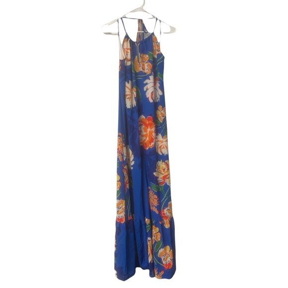Altar'd State Dresses & Skirts - Altar'd State Blue Tropical Floral Print Maxi Dress